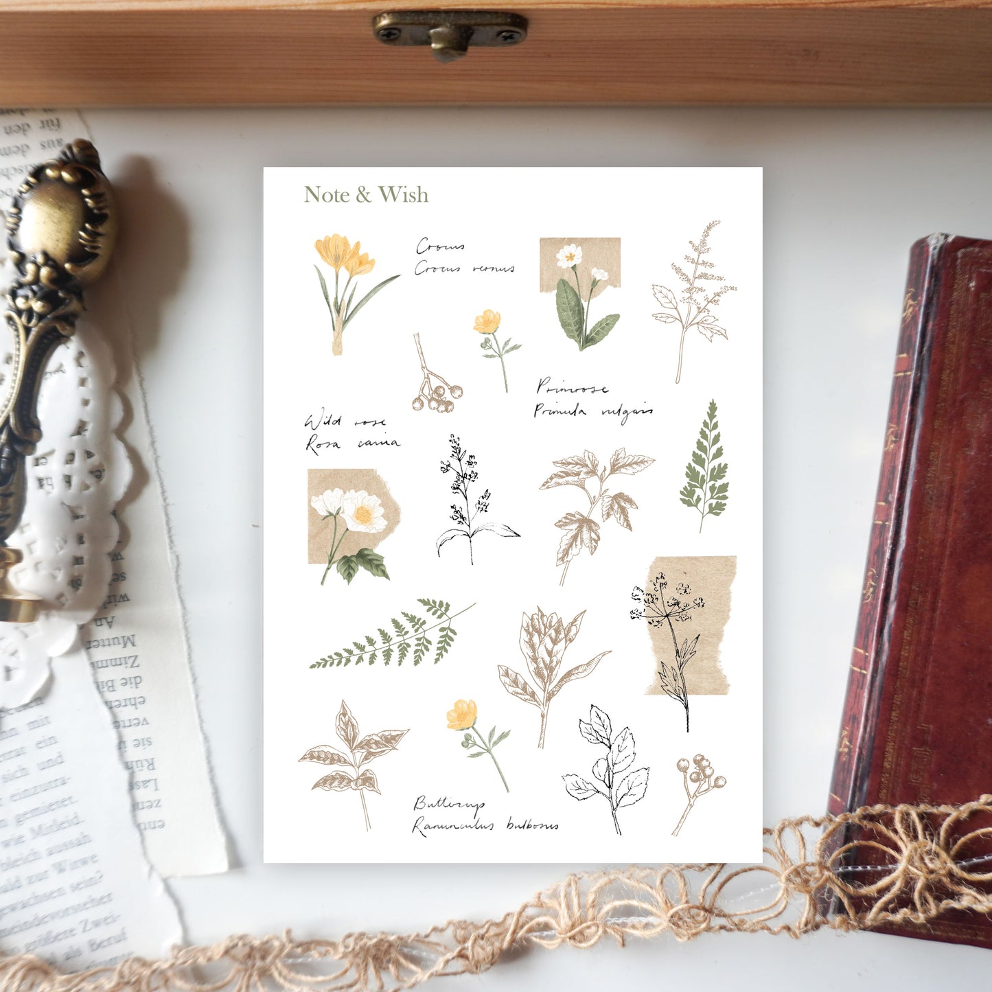 Study of Flowers - Washi Paper Stickers