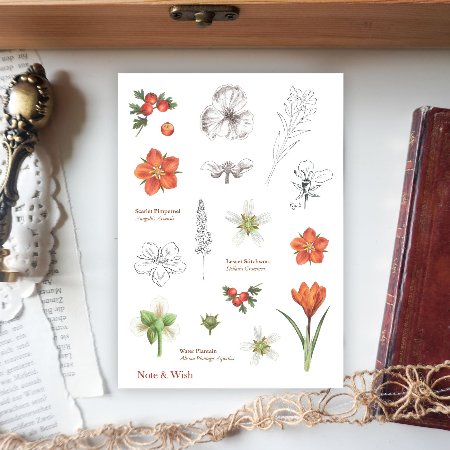 Illustrated Guide  -  Washi Paper Sticker Sheet