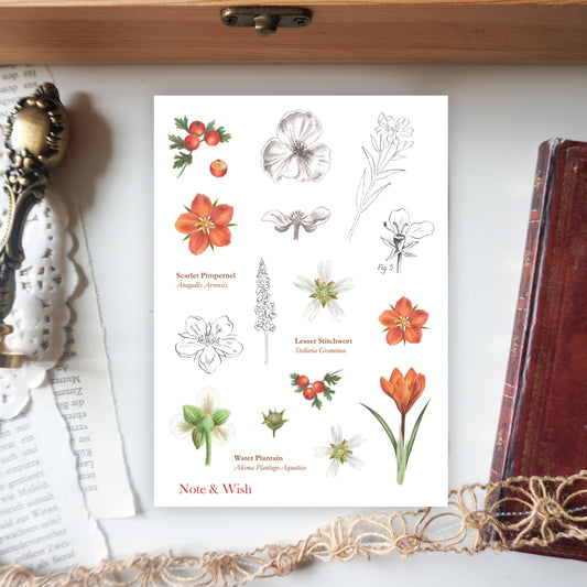 Illustrated Guide  -  Washi Paper Sticker Sheet