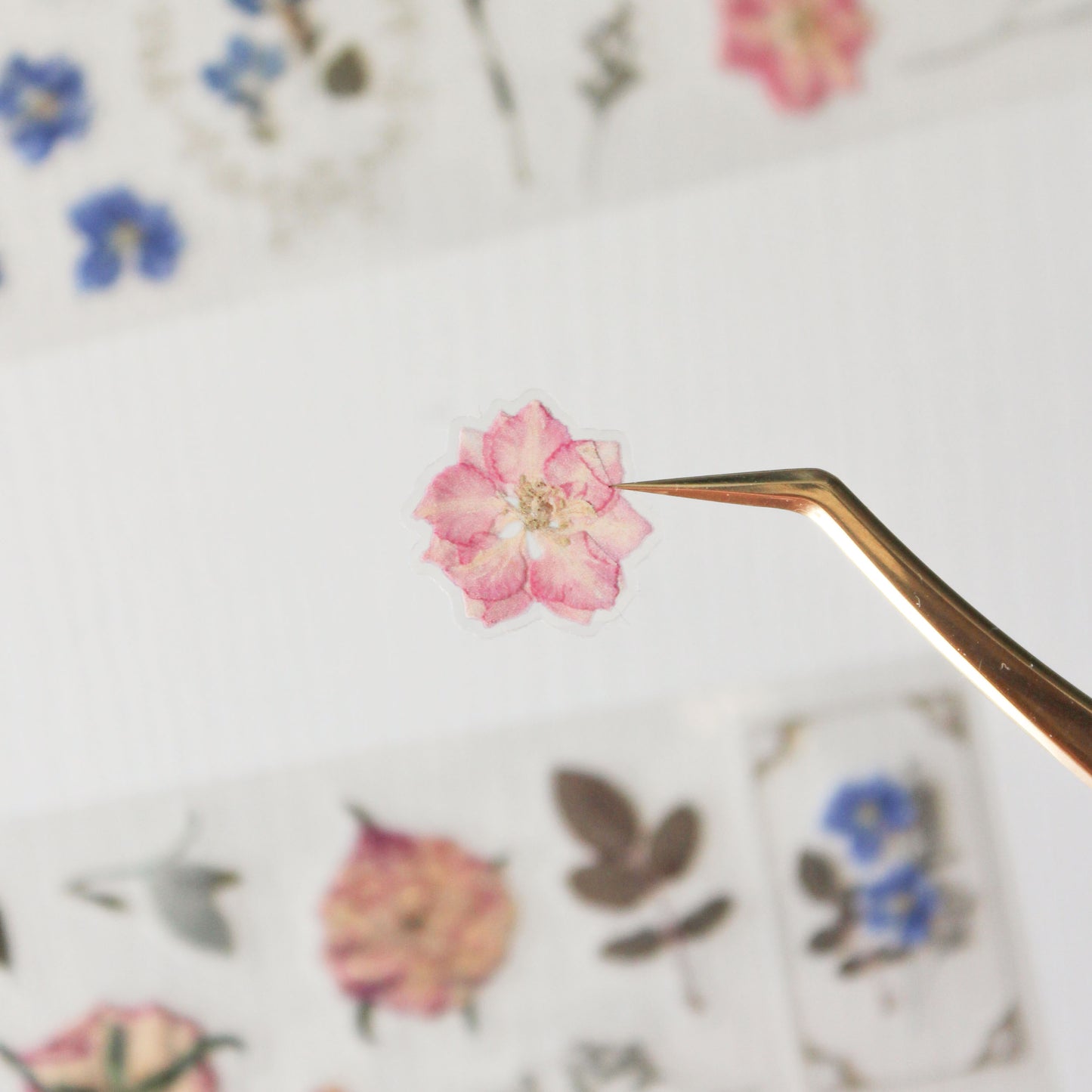 Small pink flower on a gold tweezers against a floral-patterned background