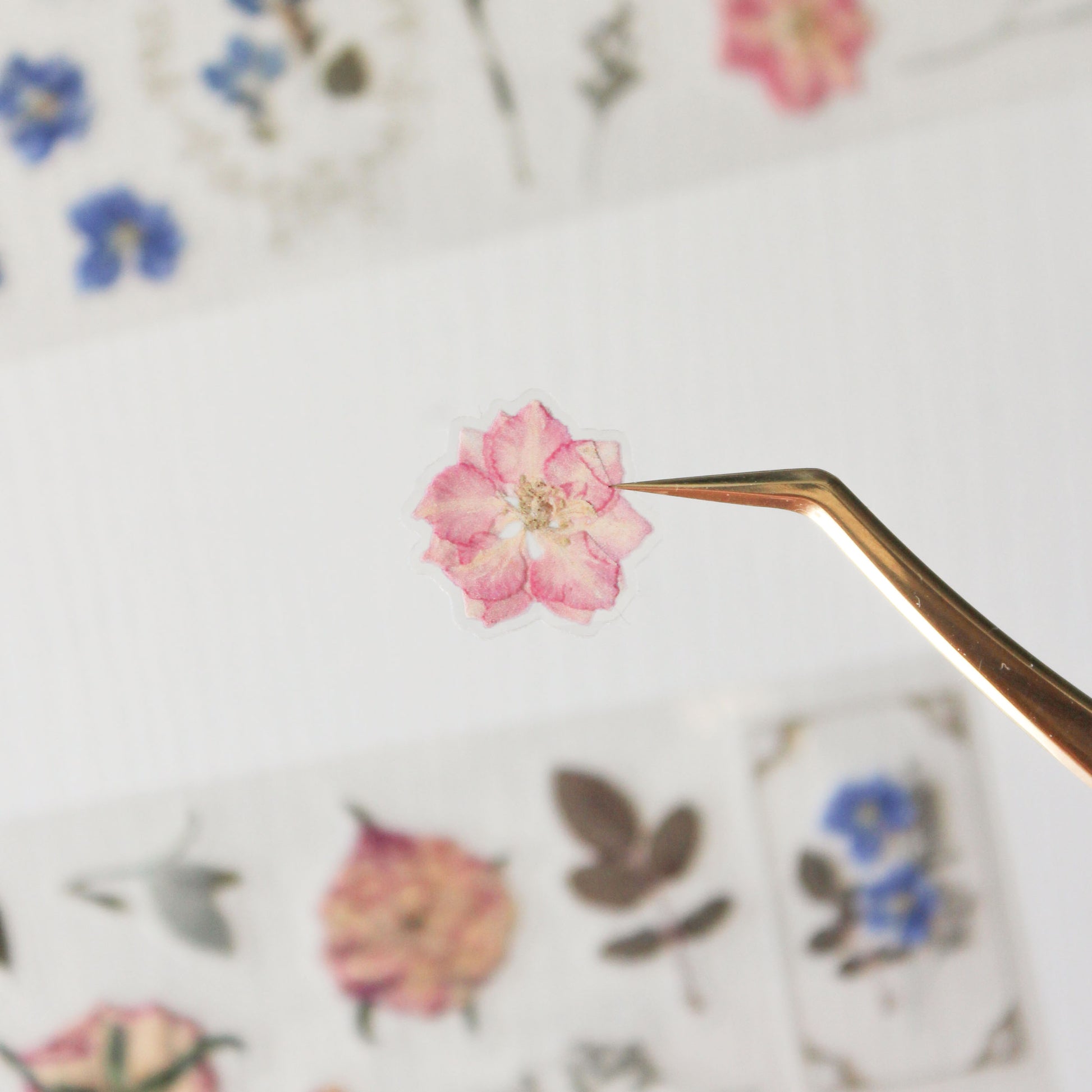 Small pink flower on a gold tweezers against a floral-patterned background