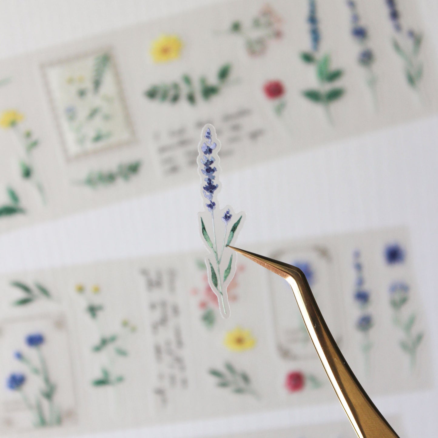 Small clear sticker of a lavender plant held by tweezers with a floral background