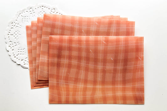 Summer Picnic Vellum Envelopes - Pack 5
